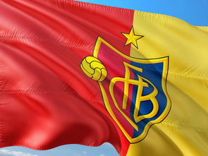 爱游戏平台-法甲升班马快速适应顶级联赛经验分享,德甲升班马夺冠奇迹