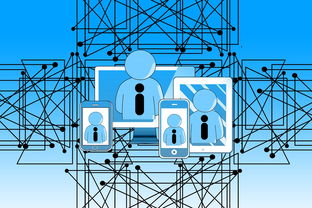 爱游戏体育-高校运动康复技术及应用研究,运动康复技术学陈建